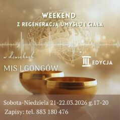 misy i gongi mocmis.pl